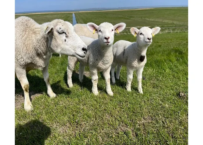 Vakantiehuis In Strandnaehe, Dornumersiel